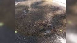 На пр.Ч.Айтматова вода из под люка разливается на дорогу (видео)