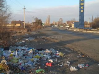 Участок при въезде в Каракол превратился в свалку (фото)