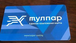 Выбор приобретения проездного билета остается за родителями, - мэрия