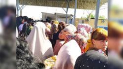 Погранслужба сообщила, с чем связаны очереди на КПП «Достук» — увеличился поток пассажиров