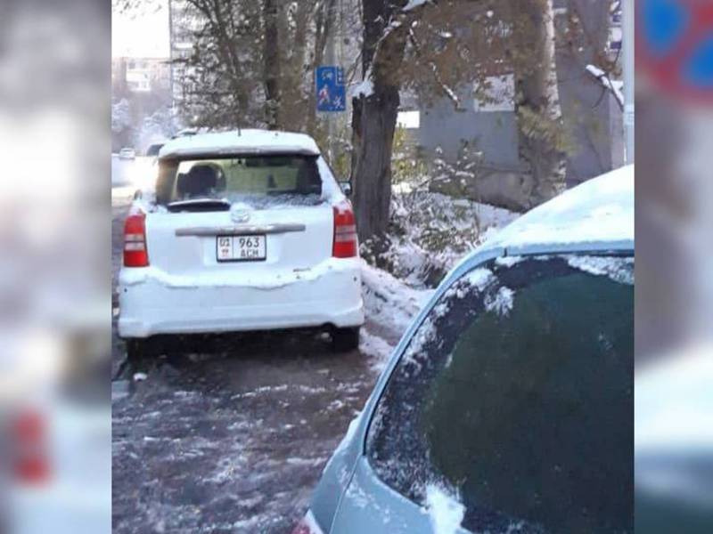 Автомобиль Toyota Wish припаркован под знаком «Остановка запрещена»