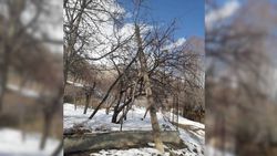 Баткендеги Бөжөй айылынын тургундары электр энергия маселесин чечип берүүнү суранууда
