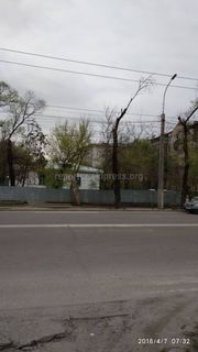 Читатель Александр просит нанести «зебру» на ул.Толстого и установить дорожный знак (фото)