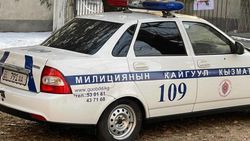 Машина патрульной милиции припаркована на газоне у наркологии. Фото