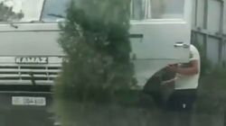 На Южной магистрали КамАЗ наехал на молодые деревья. Видео