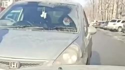 «Фит» выехал на встречку и создал затор. Видео «Фит» выехал на встречку и создал затор. Видео