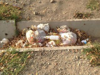 В новом арыке на Щербакова складируют мусор (фото)
