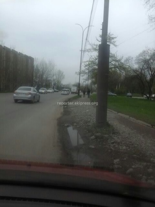 Тыныстанова-Л.Толстого