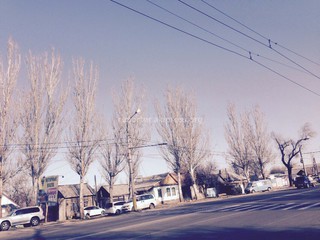 В связи со сменой ламп по улице Жибек жолу включено освещение, - «Бишкексвет»