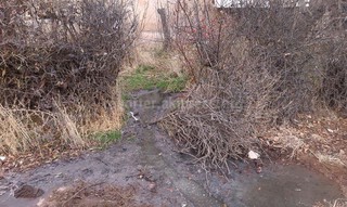 В Бостери уже 2 месяца с канализационного люка стекают нечистоты во двор жилого дома, где играют дети, - читатель (фото)