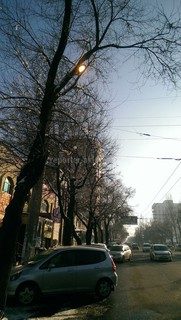 По улице Байтик Баатыра горят фонари ночного освещения, - читатель (фото)