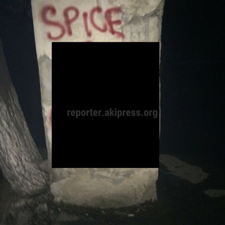 Когда уже решат проблему с рекламой спайса? - читатель (фото)