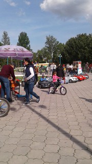 Читатель спрашивает, законно ли работает велобизнес в парке им.Д.Асанова (фото)