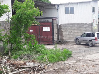 Спиленное одним из жителей дерево на ул.Менделева задело линию связи, - «Северэлектро»