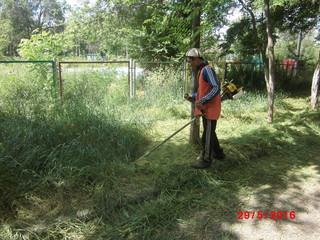 В Кара-Балте в верхнем городском парке проводится скос рослой травы и очистка территории (фото)