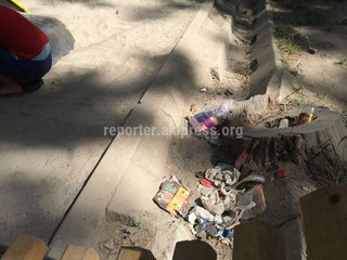 «Тазалык», после сообщения читателя о мусоре на Молодая Гвардия-Чокморова, ликвидировал мусор