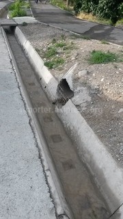 Из-за неправильно уложенной трубы, ведущей из арыка, деревья в 7 мкр высыхают, - читатель (фото)