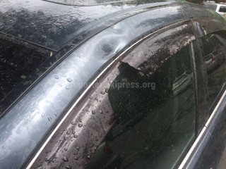 На перекрестке Осмонкула-Суйумбаева сломалась ветка и повредила корпус авто, - читатель (фото)