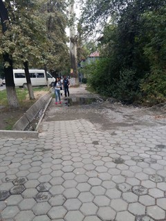 Неужели нельзя отремонтировать несколько метров тротуара на бульваре Молодой Гвардии? - читатель (фото)