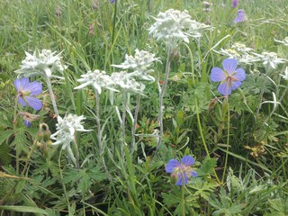 Фото — Долина Кажы-Саз