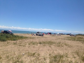 Ряд автомашин паркуются на одном из диких пляжей озера Иссык-Куль за 50 сомов <i>(фото)</i>