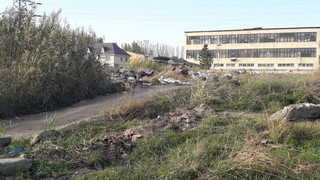 На перекрестке Месароша-Профсоюзной в Бишкеке не убирается мусор, - читатель (фото)