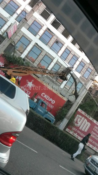 На перекрестке Чуй-Шопокова производилась вырубка сухостойных деревьев на основании акта на снос, - мэрия Бишкека