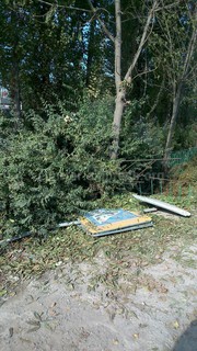 В столичном мкр Учкун дорожные знаки лежат на земле (фото)