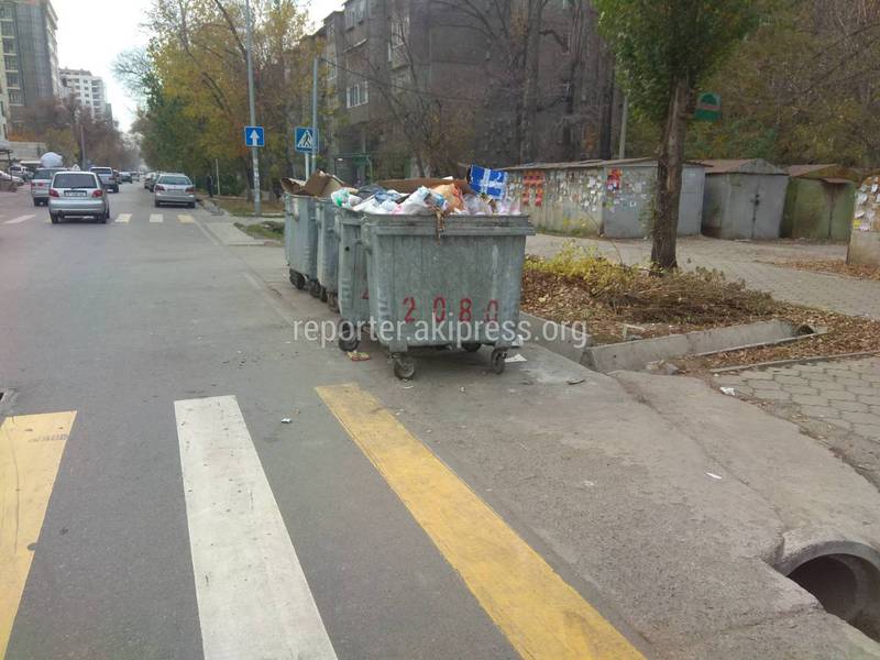 Мусорные баки на Боконбаева-Уметалиева создают опасность для жителей, - горожанин