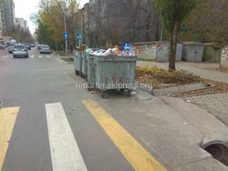 Мусорные баки на Боконбаева-Уметалиева создают опасность для жителей, - горожанин