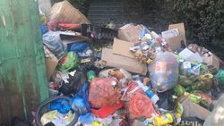 На ул.Масалиева в Оше не забирали мусор в связи с поломкой техники, - мэрия