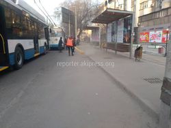 Ежедневно с раннего утра проводят мойку улиц,- мэрия