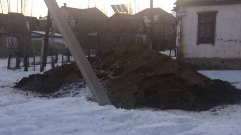 В Караколе ферма по разведению крупного рогатого скота выбрасывает навоз на улицу