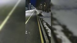 «Бишкекасфальтсервис» не сможет изменить разметку велодорожки на пр.Манаса, которая была нанесена неправильно