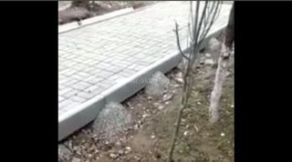 Бишкекчанин жалуется на качество укладки брусчатки на улице Тыныстанова
