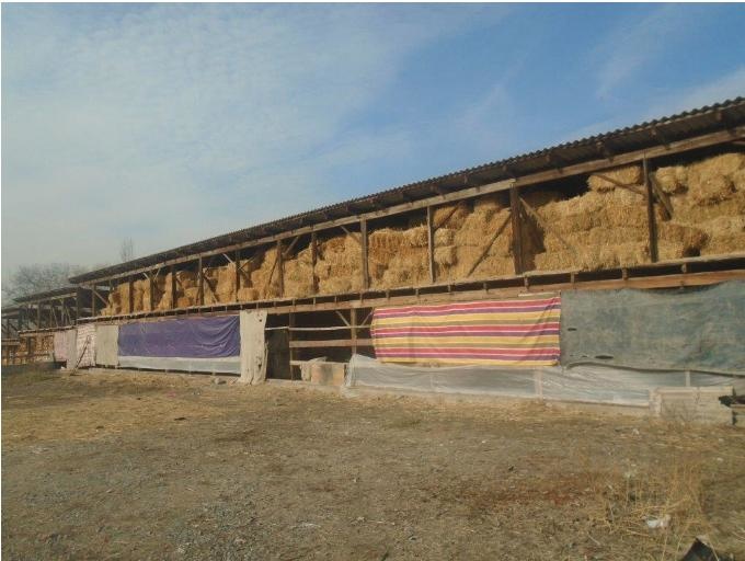 Проект развития регионов 2