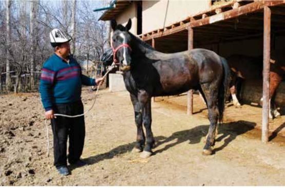 Жорокул Айдарбеков