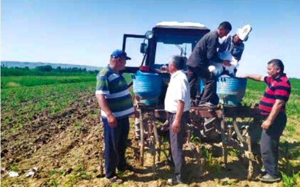 Актилек Осоркулов