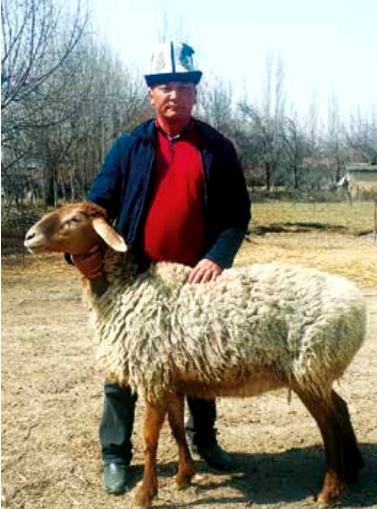 Ак-Тилек Рахманкулов