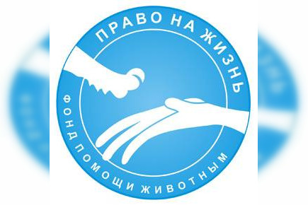 imgonline-com-ua-Frame-blurred-WVM5onpkySg