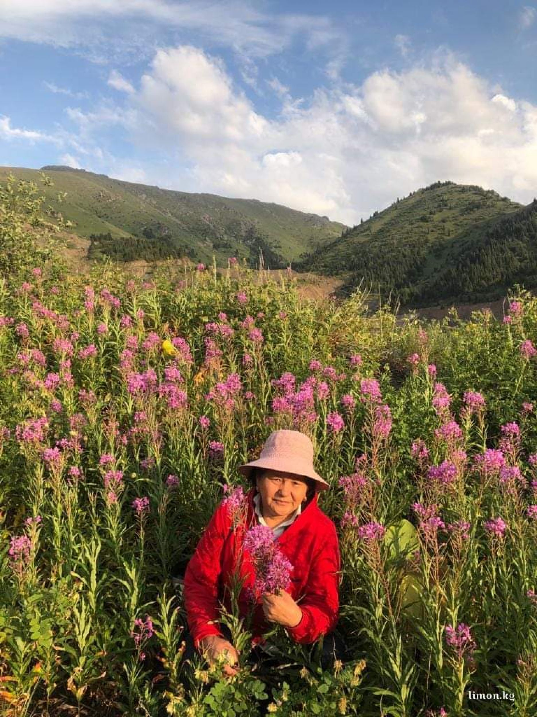 Даг досын сорып жатыр