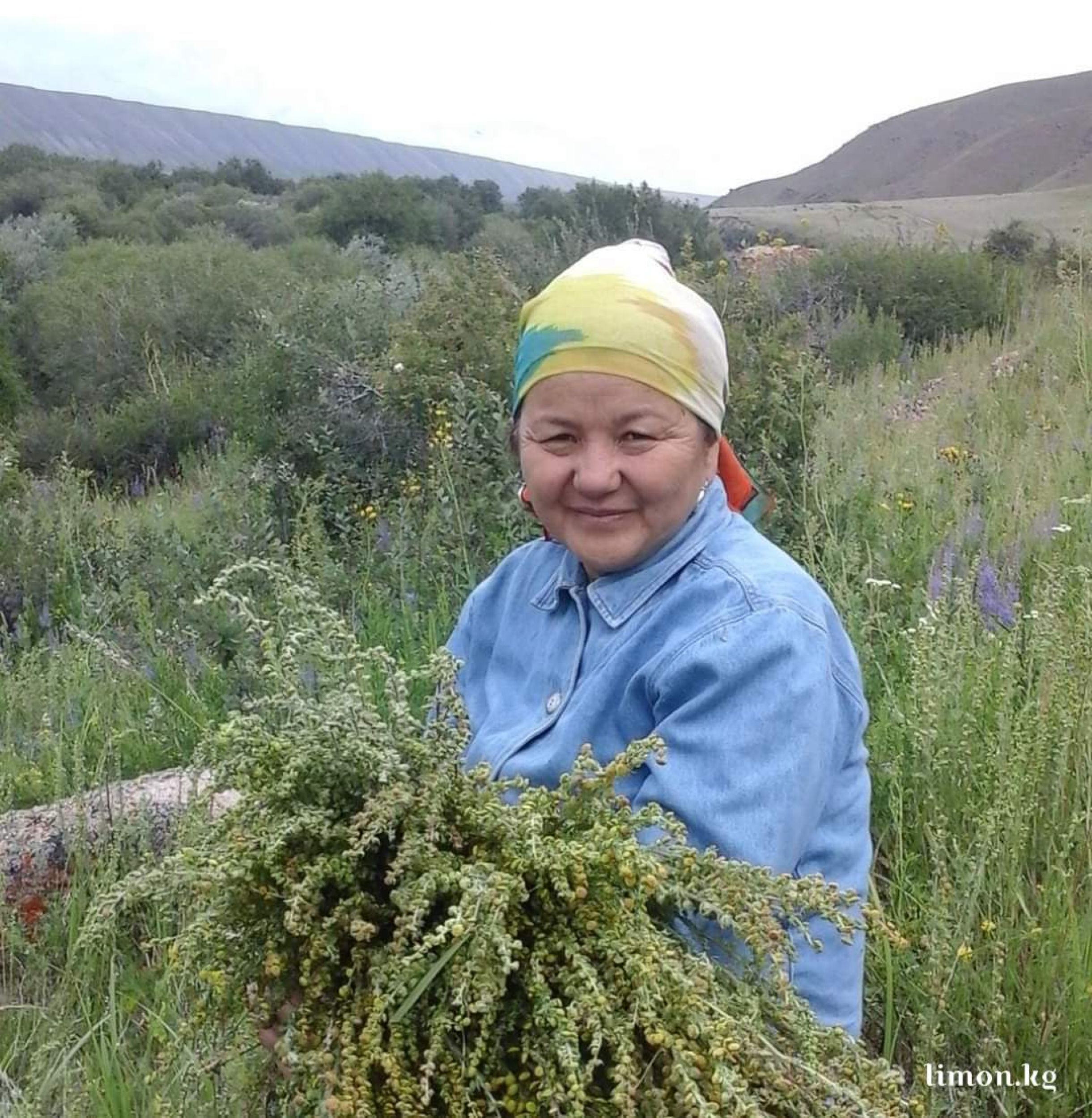 Кең белдегі порно