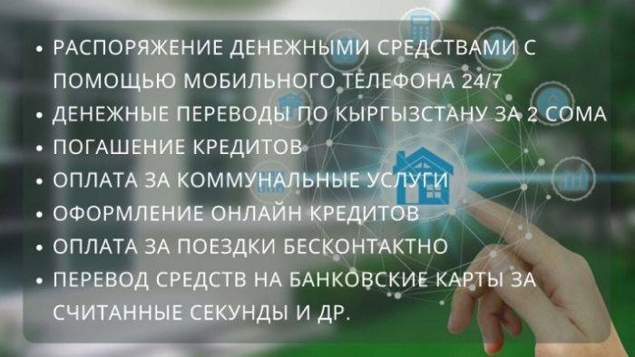 Кошелек Элсом