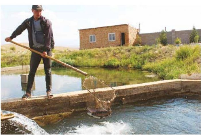 Рыбоводческое хозяйство в Жумгальском районе