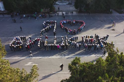 d0a85b6df9f555ccab231c14f8a714a0