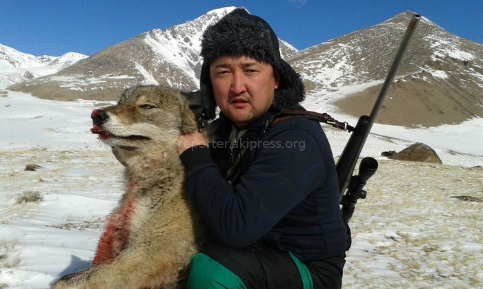 Главное фото