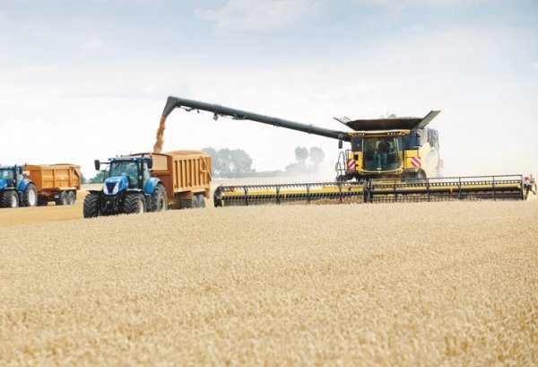 Правительство поручило Минсельхозу организовать сбор заявок на зерноуборочные комбайны и модули зерноуборочных комбайнов у поставщиков &mdash; Tazabek