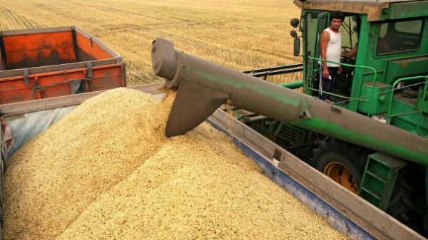 Необходимо оказать помощь членам и работникам кооперативов в создании хозяйственного механизма, -Минсельхоз &mdash; Tazabek