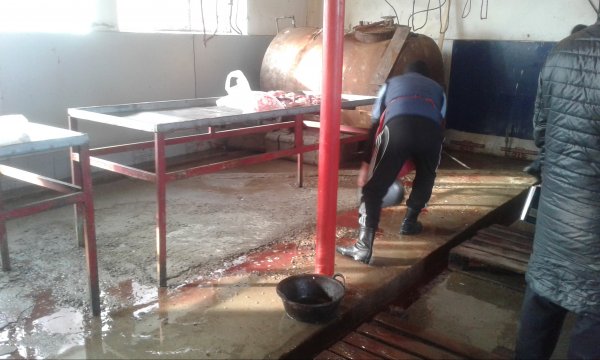 В Кыргызстане зарегистрировано 74 предприятия по забою скота и только одно из них отвечает всем требованиям, - Госветинспекция &mdash; Tazabek