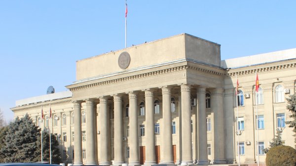 Правительство предложило запретить ветврачам заниматься ветеринарной практикой без регистрации в реестре Ветеринарной палаты &mdash; Tazabek